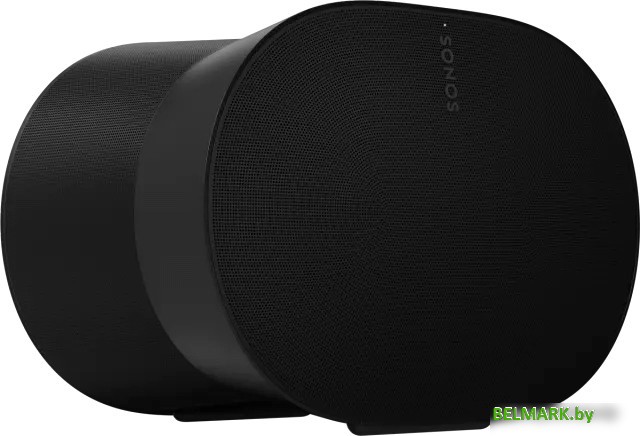 Беспроводная аудиосистема Sonos Era 300 (черный) - фото