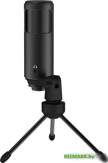 Микрофон Lorgar Voicer 521 - фото2