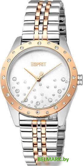 Наручные часы Esprit ES1L405M0075 - фото