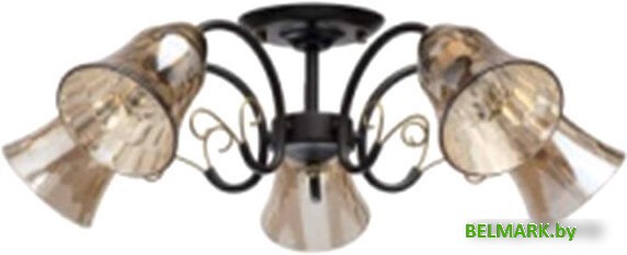 Припотолочная люстра Aitin Pro HD78241/5 - фото