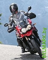 Дорожные мотошины Mitas Terraforce-R 140/80R17 69V TL - фото2