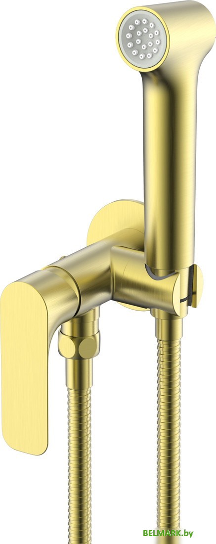 Гигиенический душ Raglo R03.52.03 - фото