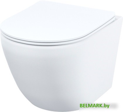 Унитаз подвесной IDDIS Blanco Q BLQNDSEI25 - фото