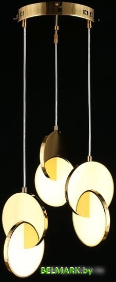 Подвесная люстра Aployt Mila APL.044.16.24 - фото2