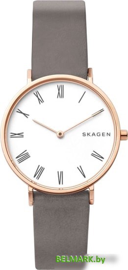 Наручные часы Skagen SKW2674 - фото