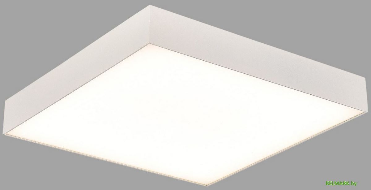 Припотолочная люстра ST Luce ST608.542.48 - фото