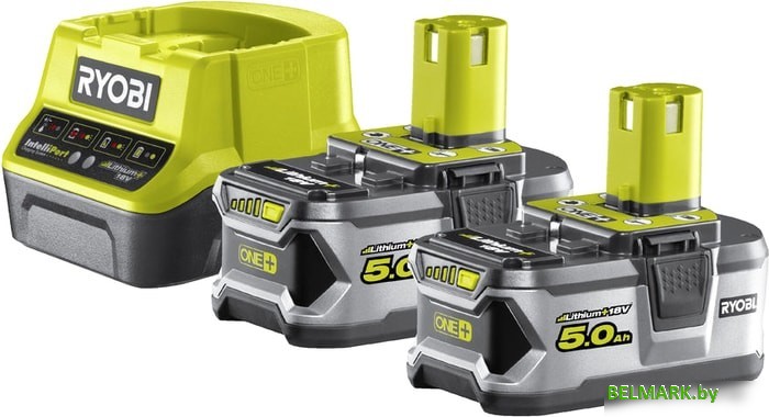 Аккумулятор с зарядным устройством Ryobi RC18120-250 ONE+ 5133003364 (18В/5.0 а*ч + 18В) - фото