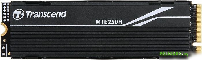 SSD Transcend 250H 2TB TS2TMTE250H - фото