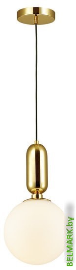 Подвесная люстра Odeon Light Okia 4669/1 - фото