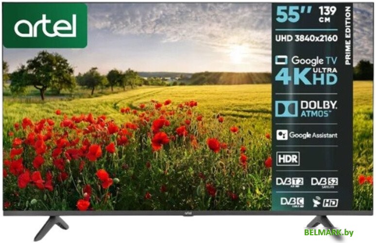 Телевизор Artel A55PUCH010 - фото