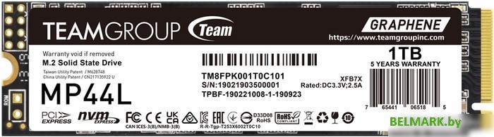 SSD Team MP44L 1TB TM8FPK001T0C101 - фото