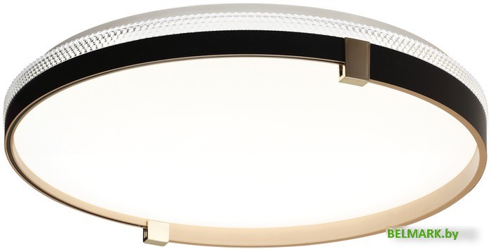 Припотолочная люстра Sonex Pale 7647/EL - фото