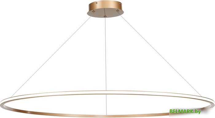 Подвесная люстра ST Luce Out ST604.243.57 - фото