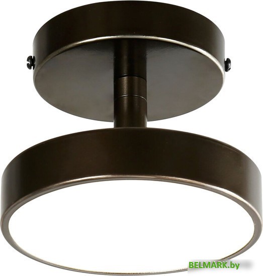 Припотолочная люстра Favourite 3060-1P - фото