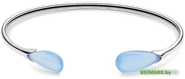 Браслет Skagen SKJ1628040 - фото