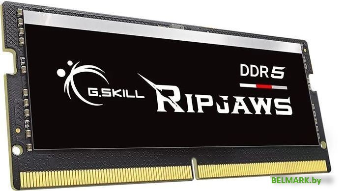 Оперативная память G.Skill Ripjaws 16ГБ DDR5 SODIMM 4800МГц F5-4800S4039A16GX1-RS - фото2