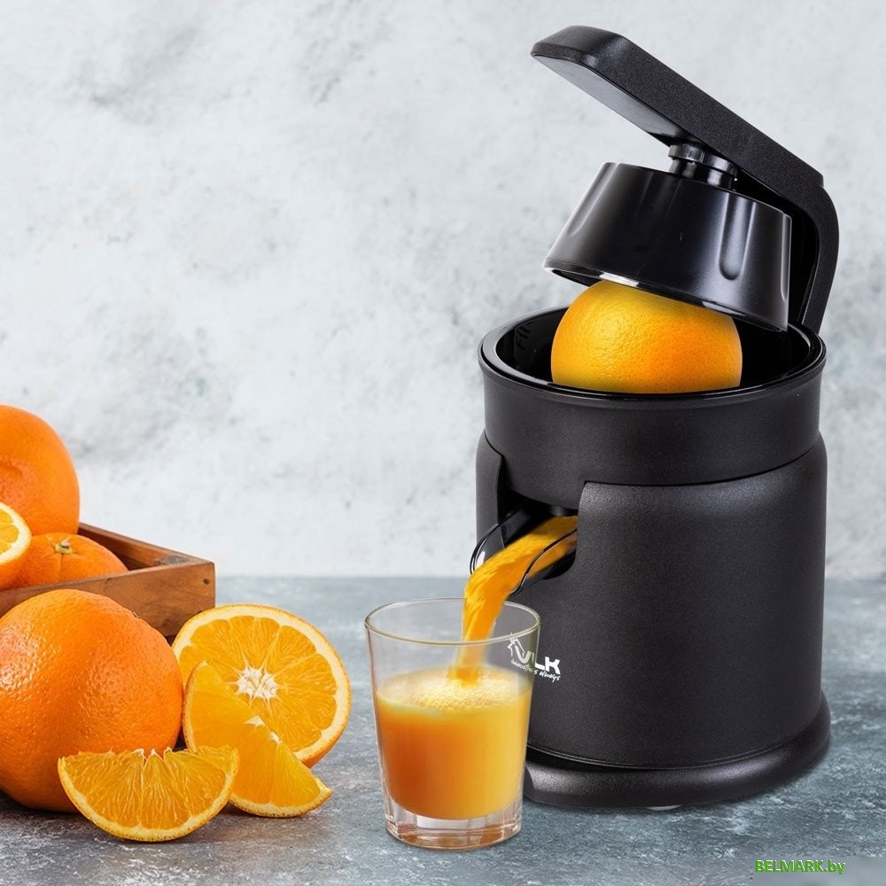 Соковыжималка VLK Profi-4500 - фото2