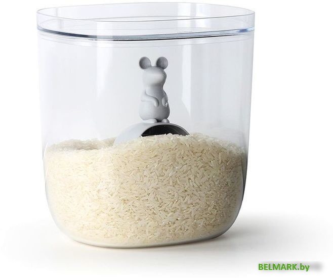 Набор емкостей Qualy Lucky Mouse QL10348-CL-GY - фото