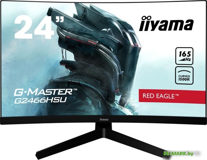 Монитор Iiyama G-Master G2466HSU-B1 - фото