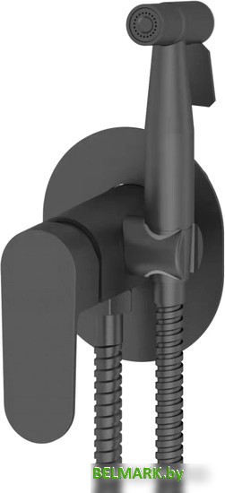 Гигиенический душ Vieir V283551-C - фото