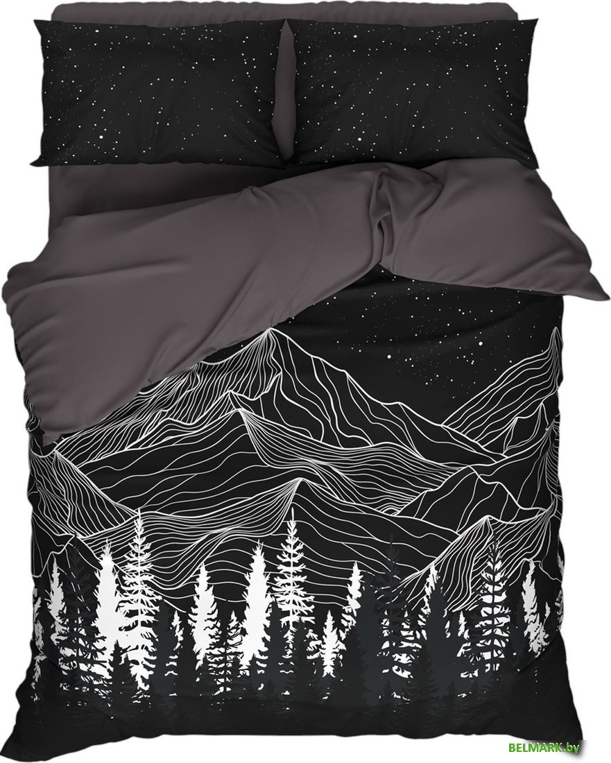 Постельное белье Этель Полярная ночь 2сп 10706909 - фото