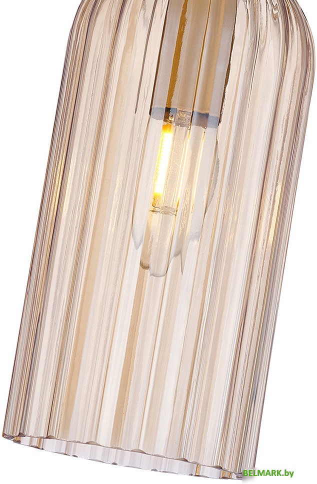 Подвесная люстра F-Promo 4365-1P - фото2