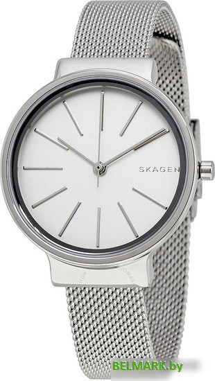 Наручные часы Skagen SKW2478 - фото2