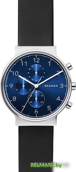 Наручные часы Skagen SKW6417 - фото