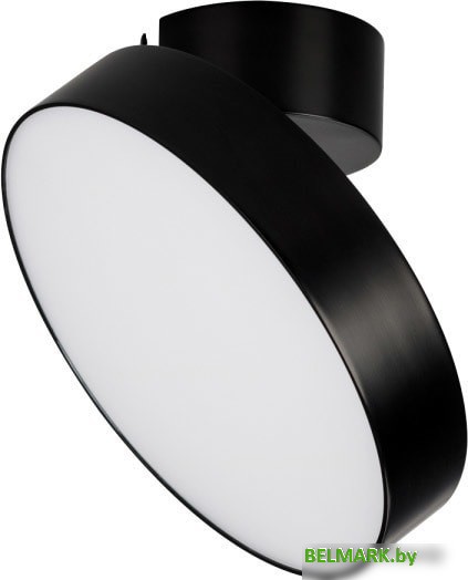 Спот Arlight SP-RONDO-FLAP-R250-30W Day4000 028171 - фото