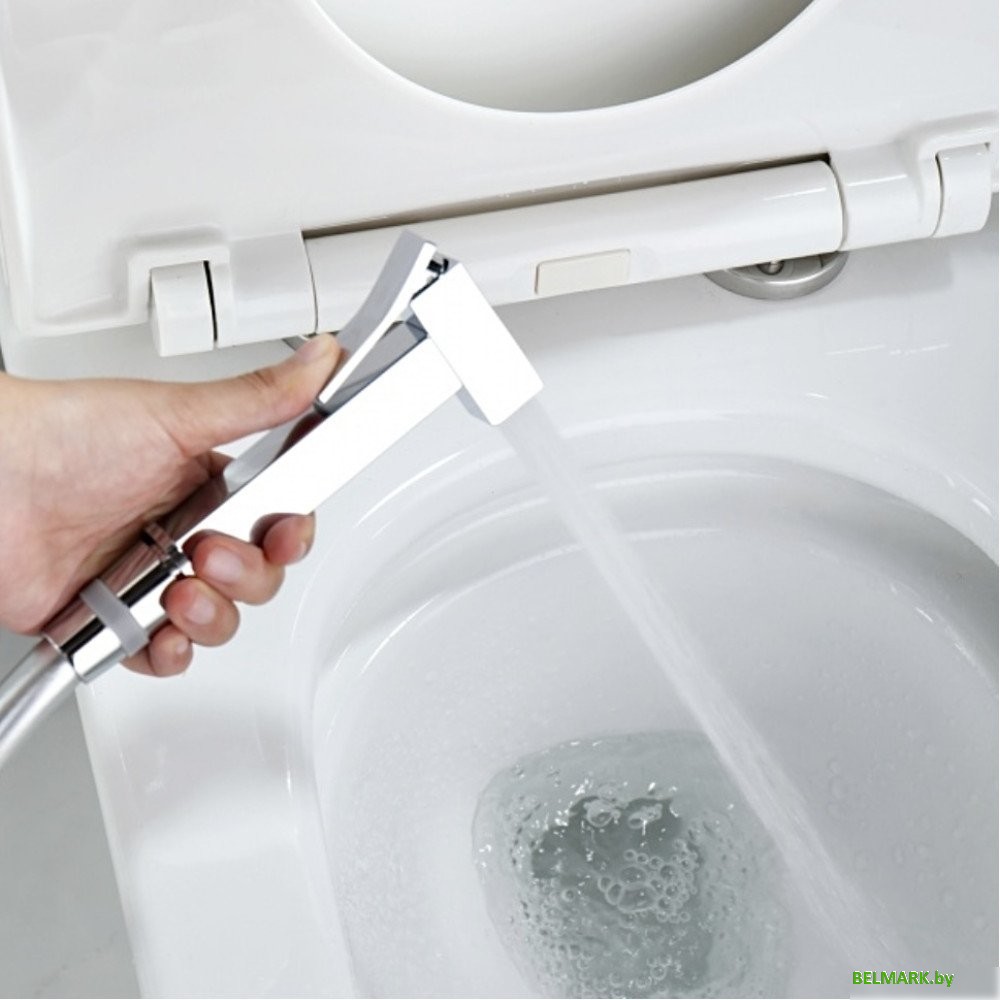 Гигиенический душ Ganzer GZ01157 - фото2