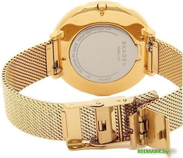 Наручные часы Skagen SKW2722 - фото2