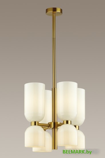 Подвесная люстра Odeon Light Orinoco 4798/8 - фото2