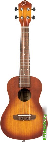 Укулеле Ortega Earth RUDAWN - фото