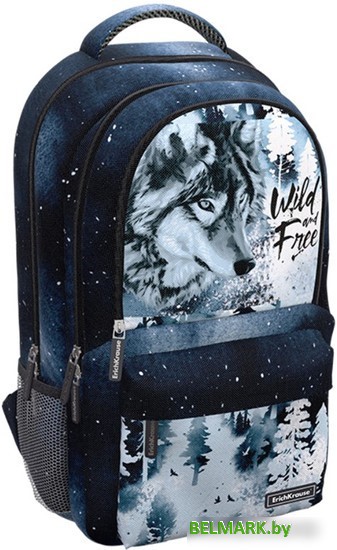 Городской рюкзак Erich Krause ActiveLine Ergoback 22L Timber Wolf 60148 - фото