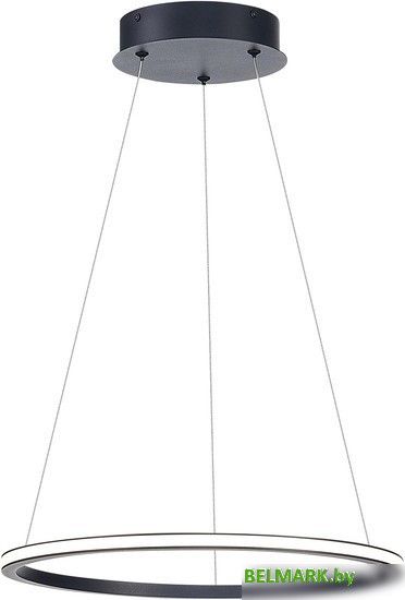 Подвесная люстра ST Luce St604 Out ST604.443.22 - фото2