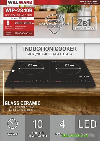 Настольная плита Willmark WIP-2840B - фото2