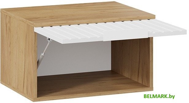 Шкаф распашной Трия Хилтон Исп.2.1 (дуб крафт золотой/белый матовый) - фото2