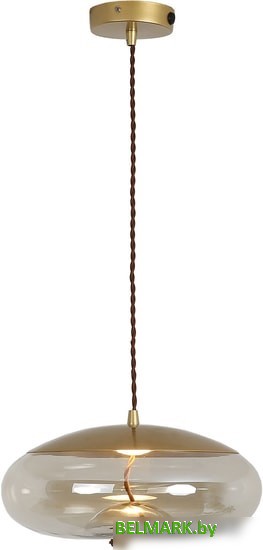 Подвесная люстра Lussole Loft Acquario LSP-8357 - фото