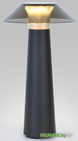 Настольная лампа Elektrostandard Future TL70200 (черный) - фото