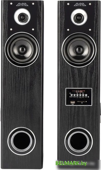 Акустика GMNG GG-SP600AC - фото