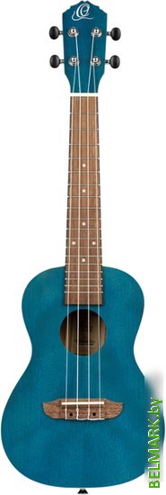 Укулеле Ortega Earth RUOCEAN - фото