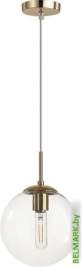 Подвесная люстра Lumion Summer 6509/1B - фото