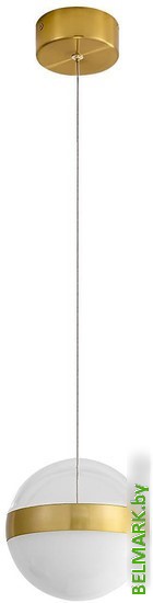 Подвесная люстра Odeon Light Roni 5036/12L - фото