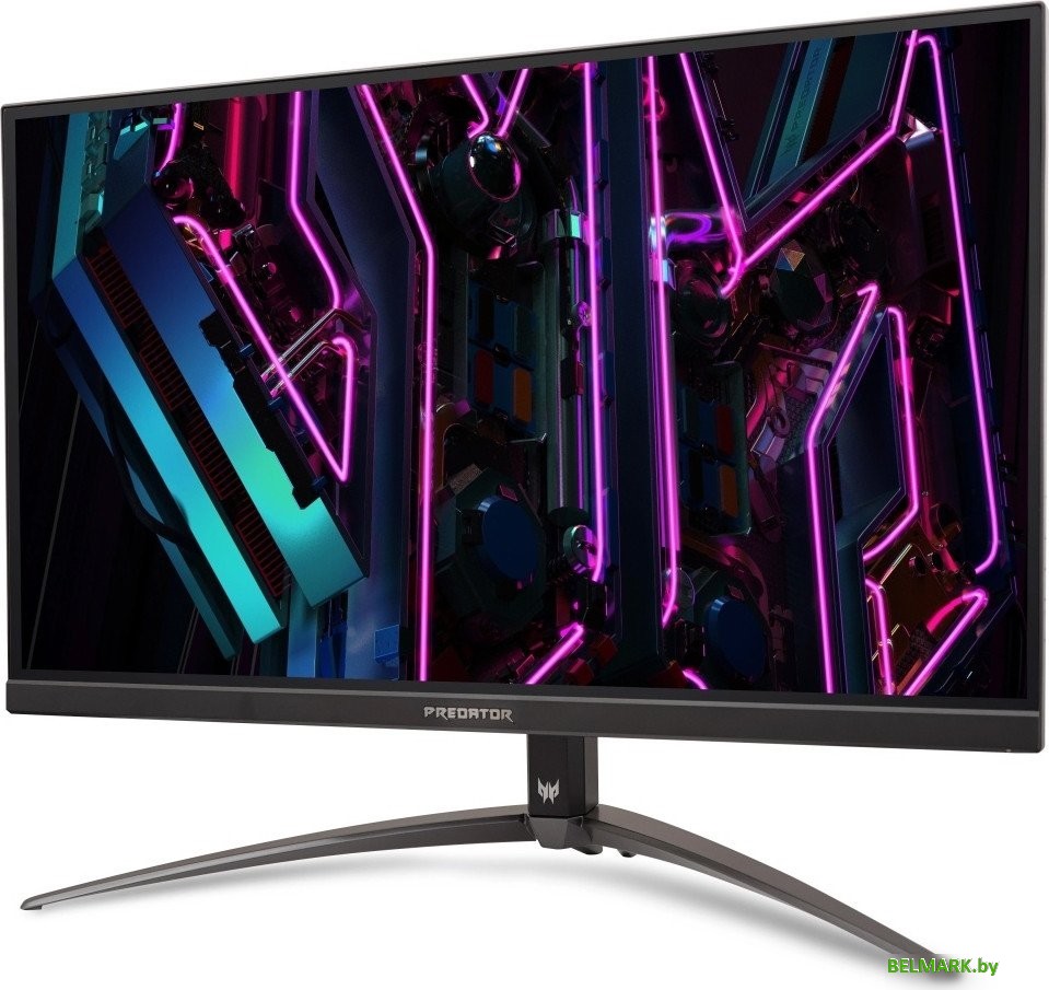 Игровой монитор Acer Predator XB3 XB273KV3bmiiprx UM.HX3EE.319 - фото2