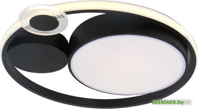 Припотолочная люстра Arte Lamp Stockholm A2690PL-1BK - фото