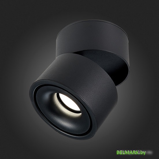 Припотолочная люстра ST Luce ST652 ST652.442.12 - фото2