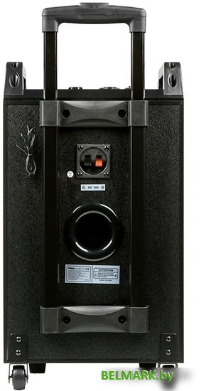 Колонка для вечеринок Dialog AO-210 - фото2