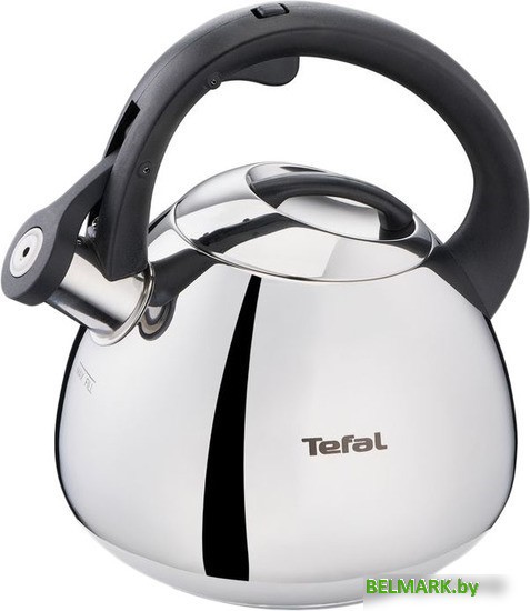 Чайник со свистком Tefal Duetto+ N4180110 - фото