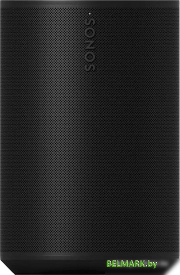 Беспроводная аудиосистема Sonos Era 100 (черный) - фото