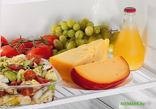 Однокамерный холодильник POZIS RS-411 - фото2